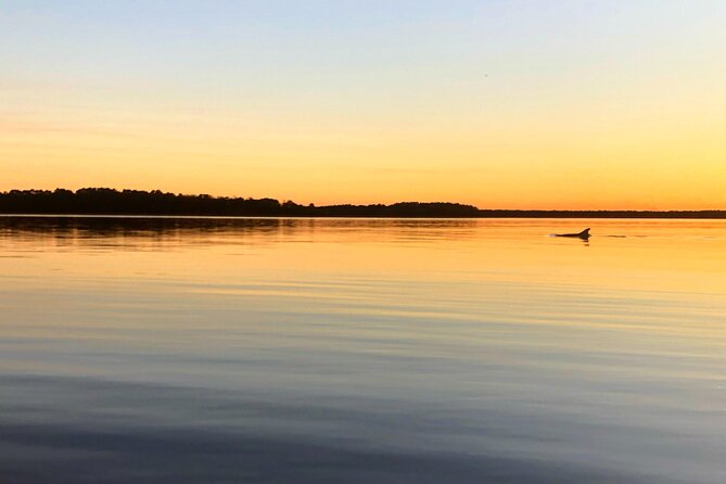 Morning Beaufort River Tour Review