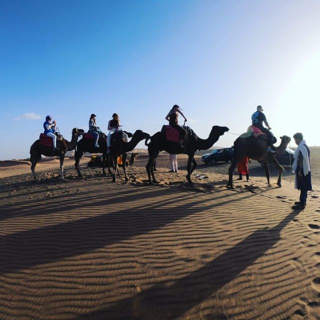 Morocco Camel Trekking, Morocco Sahara Desert From Marrakech