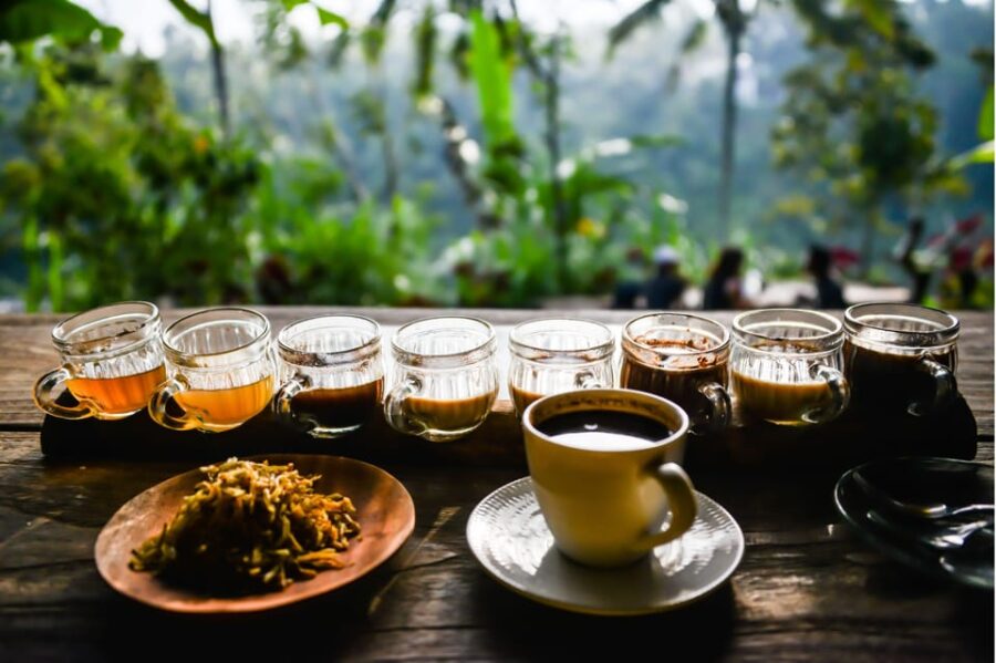 Mount Agung Trek: Sunrise Climb & Cultural Insights - Activity Overview