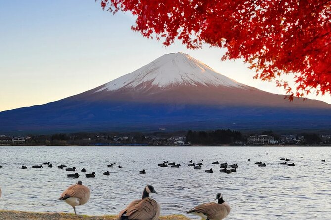 Mount Fuji 5th Station Kawaguchiko Gotemba Mall Tour From Tokyo