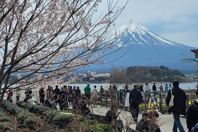 Mount Fuji Day Tour With English/Hindi Speaking Guide