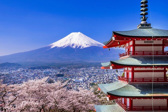 Mount Fuji Full Day Sightseeing Tour From Tokyo