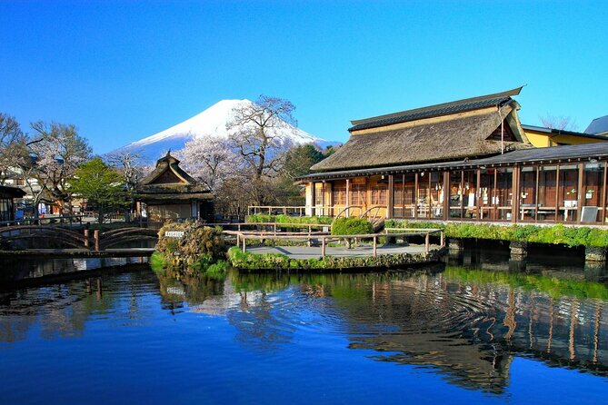 Mount Fuji Private Custom Tour From Tokyo