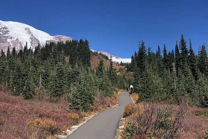 Mount Rainier National Park Day Tour From Seattle