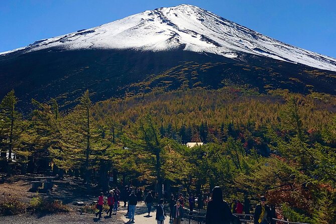 Mt. Fuji Bus Tour From Tokyo Disband at Gotemba Outlets Bus Stop