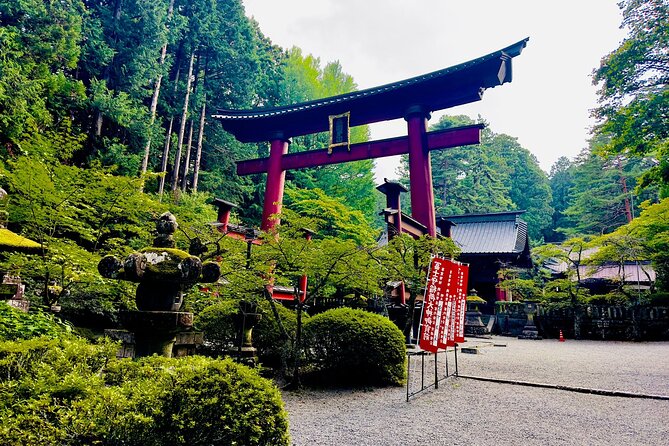Mt. Fuji & Hakone Cherry Blossom Private One Day Tour
