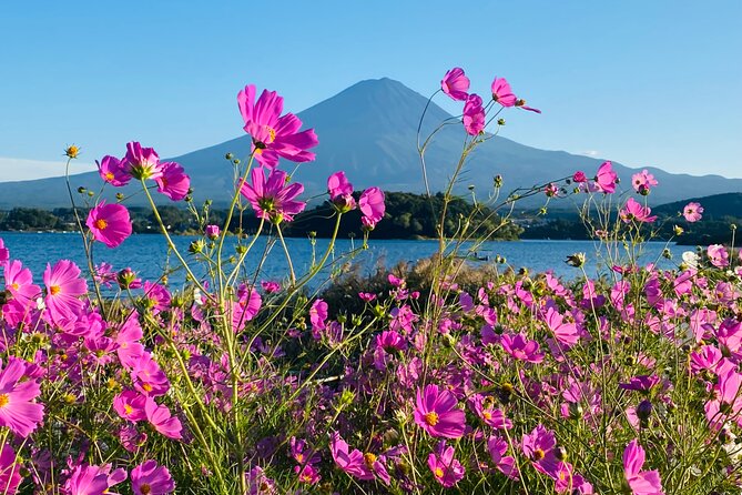 Mt.Fuji Hakone Private Tour With English Speaking Chauffeur