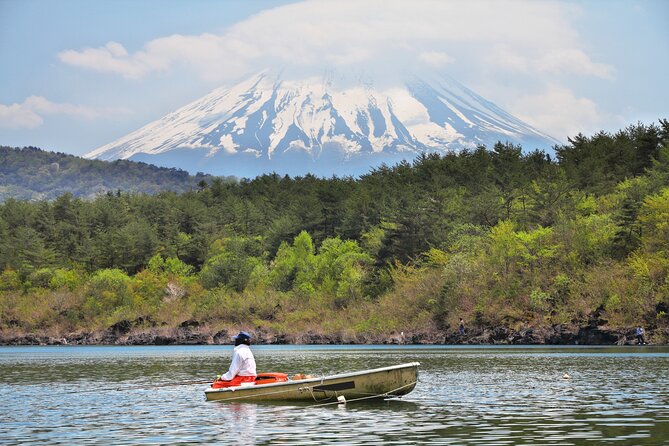 Mt. Fuji Highlight Photo Spots One Day Tour From Tokyo - Exploring the Top Photo Spots