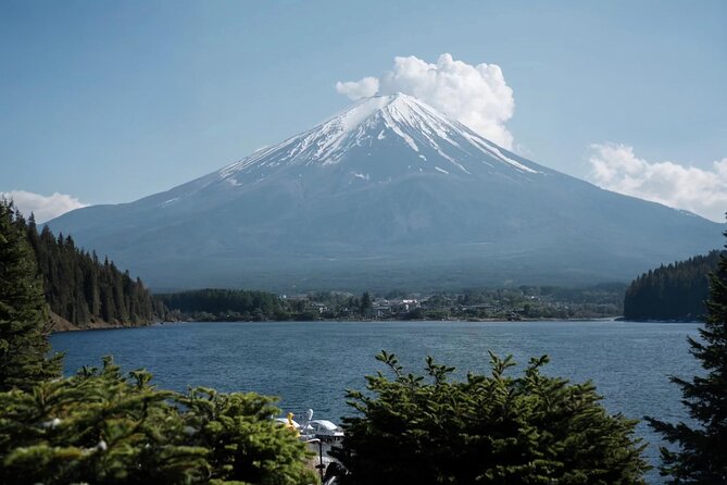 Mt Fuji Lake Kawaguchi and Yamanaka Hot Spring Day Tour in Tokyo