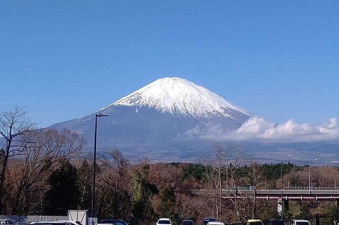 Mt. Fuji, Lake Kawaguchiko Private Tour With Pick up