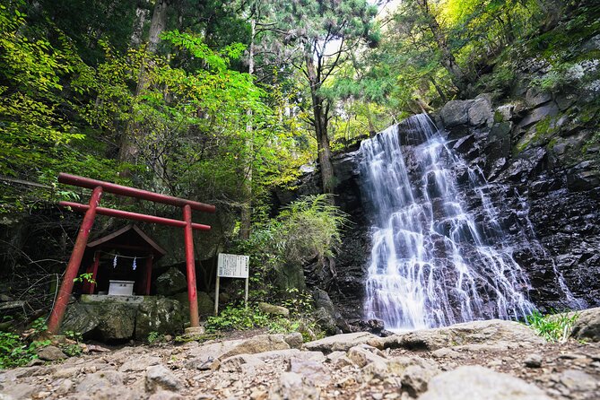 Mt. Fuji Private Chartered Tour With Nature & Wasabi Farm - Tour Experience