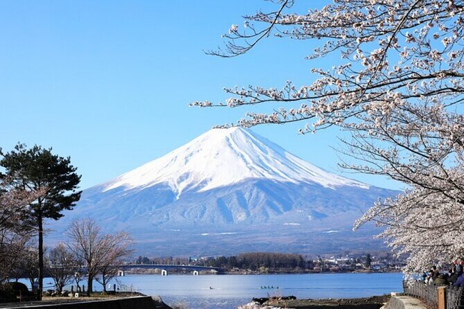 Mt. Fuji Private Tour From Tokyo With English Guide