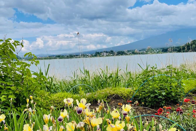 Mt Fuji Private Tour With English Speaking Driver