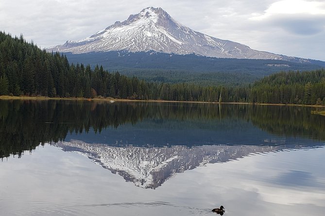 Mt. Hood/Gorge Waterfall Loop From Portland
