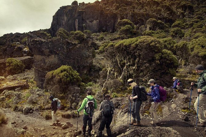Mt.kilimanjaro-machame Route