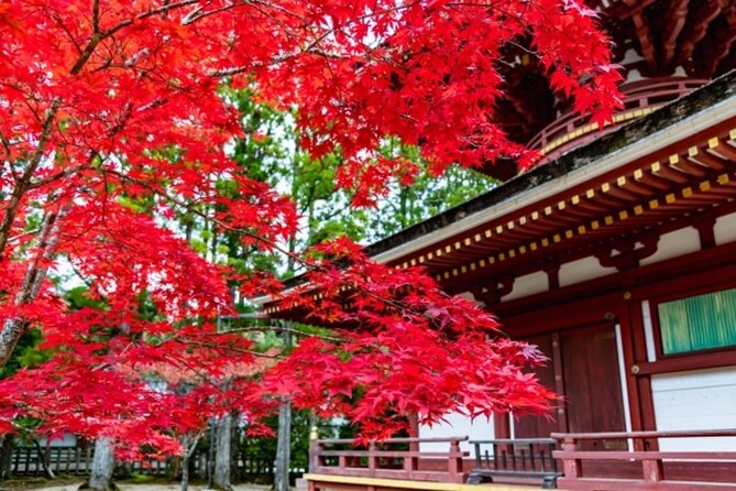 Mt Koya 1 Day Bus Tour From Osaka