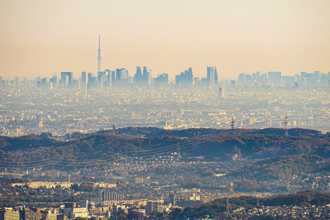 Mt.TAKAO Trekking 1 Day Tour - Transportation and Amenities