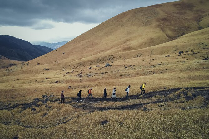 Mt. Yufu Grassland Private Hiking and Lunch