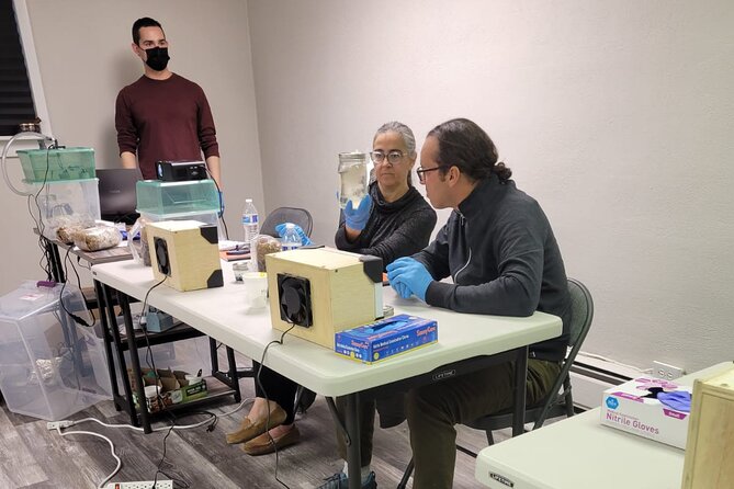 Mushroom Growing Workshop Review: A Fun Experience - Parking and Accessibility
