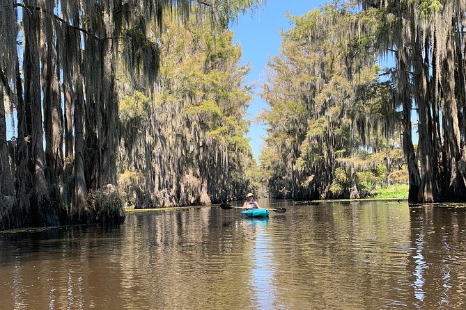 Mystical Private Kayak and Canoe Tours on Caddo Lake