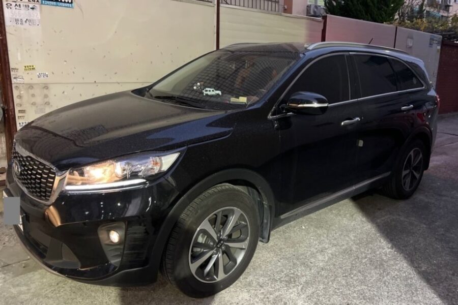 Nanjing Lukou Int Airport (NKG): Private Transfer to Nanjing
