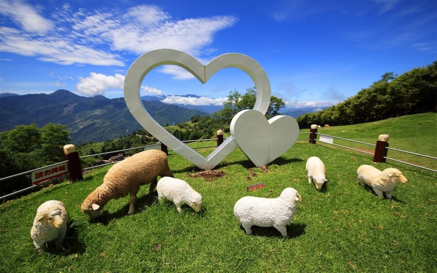 Nantou: Qingjing Farm Green Green Grassland Ticket & Combos - Attractions in QingJing