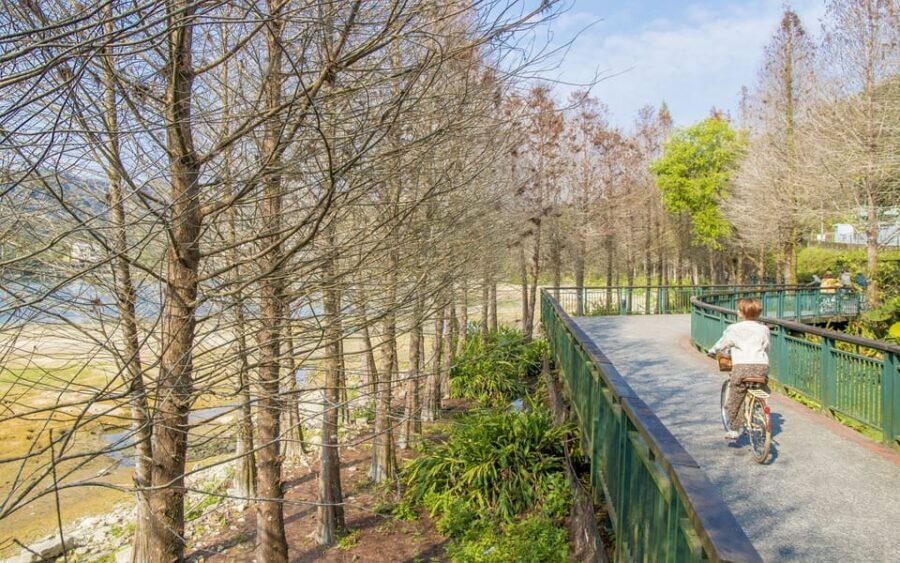 Nantou: Sun Moon Lake Combo