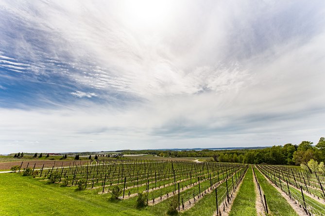 Napa & Sonoma Wine Tour Private Tours 8 to 10 Hours Max 14 Pax