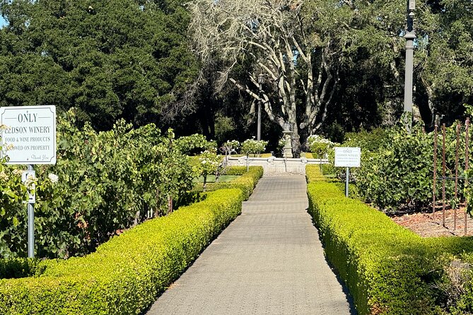 Napa Valley Luxury Wine Tours & Car Services - Experience the Beauty of Napa Valley