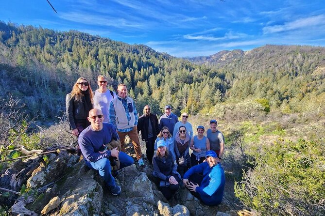 Napa Valley Redwood Hike Review