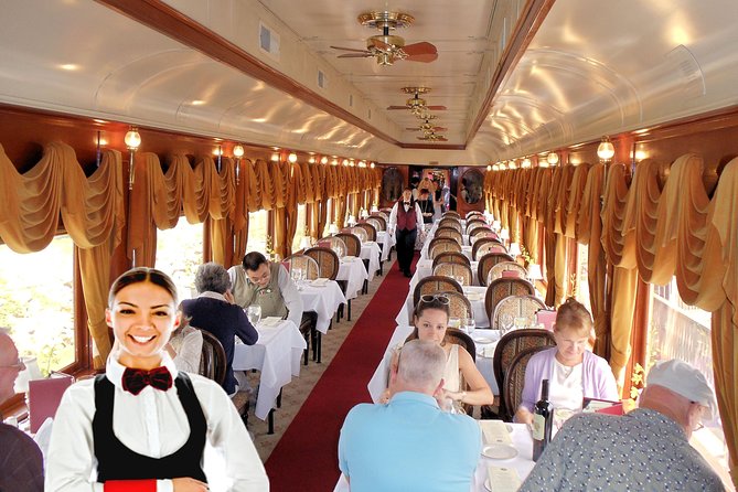 Napa Valley Wine Train Tour Glamorous Dining Experience - Overview of the Napa Valley Wine Train Experience