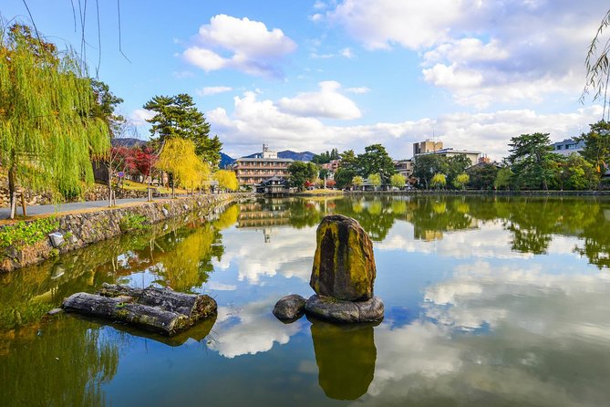 Nara Day Trip From Osaka With a Local: Private & Personalized