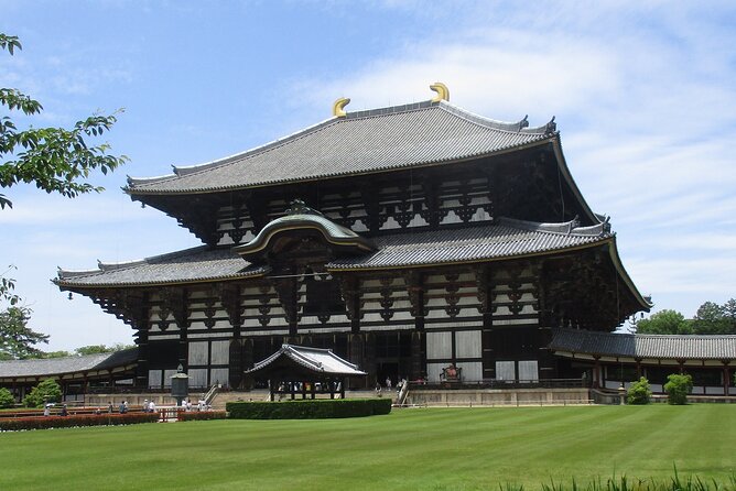 Nara ENGLISH GUIDE, Giant Buddha, Deer Free in the Park