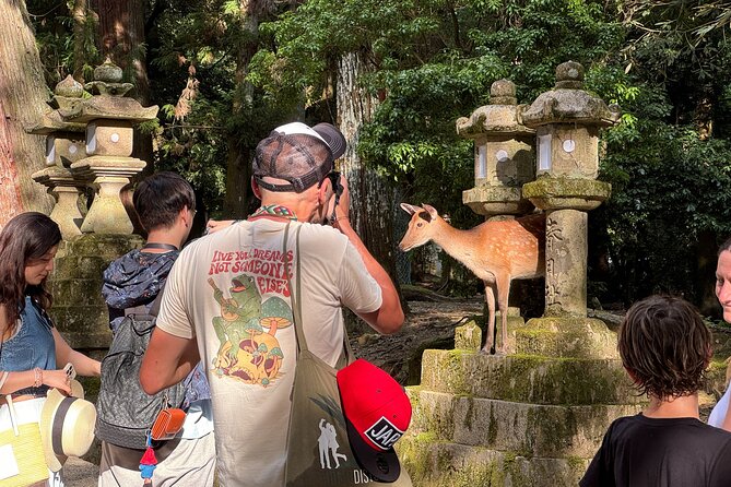 Nara: Half-Day Private Tour of 4 Must-See Spots & Deer Park