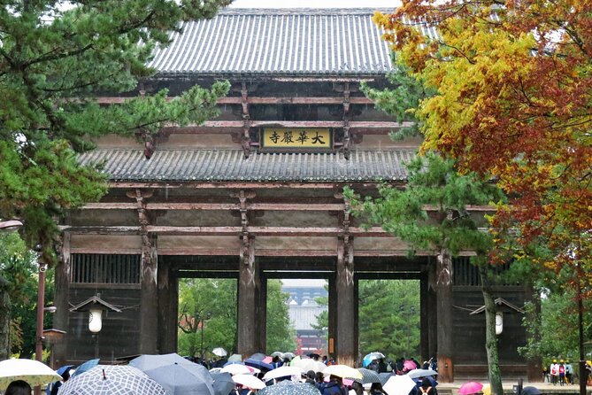 Nara World Heritage PRIVATE TOUR - Positive Traveler Experiences