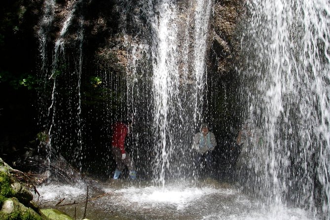 Nature Tour Around Waterfalls That Exudes From the Beech Forest Nishiwaga Town, Iwate Prefecture