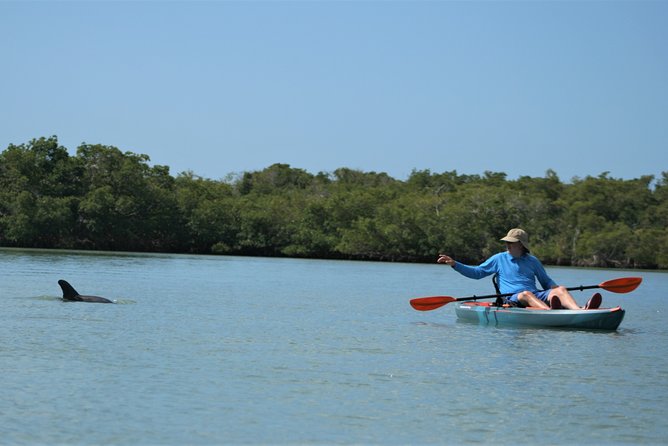 Nauti Exposures – Kayak Rental Naples, FL