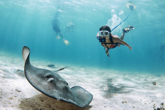 NEMO Diving System Snorkeling Experience Review