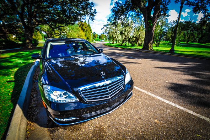 New Orleans Private Vehicle City Tour - Accessibility and Requirements