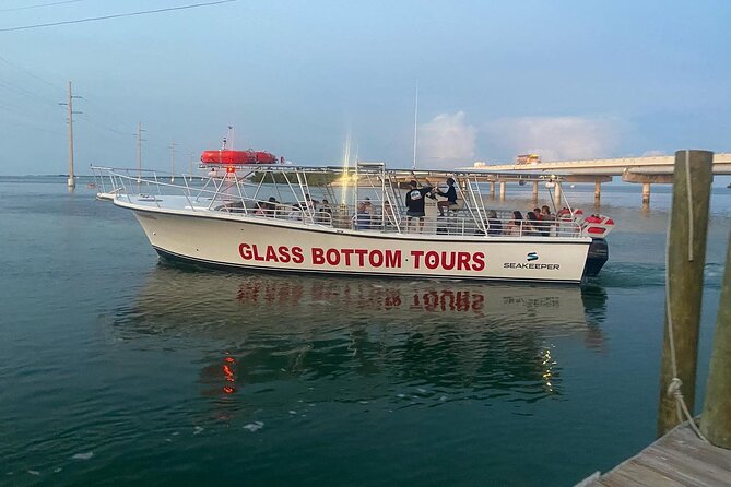 Night Tour Glass Bottom Boat Review