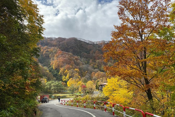 Niigata Private Customizable Half Day Tour