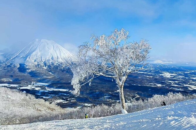 Niseko to Chitose Airport or Sapporo Private Transfer - Service Overview