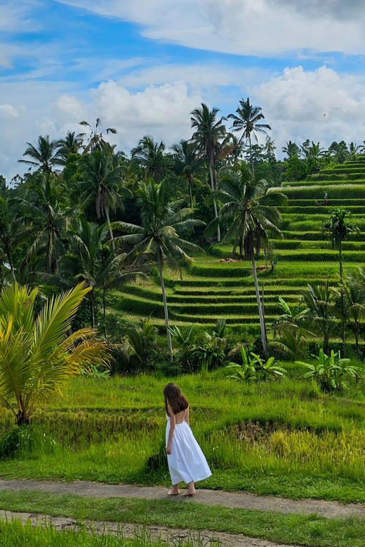 North Bali Nature Explore