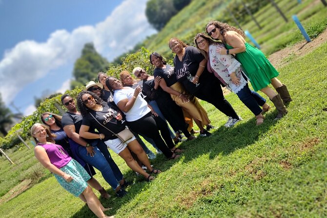 North Georgia Mountains Three Vineyard Wine Tasting Tour - Tour Overview