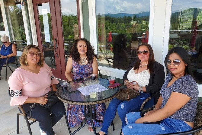 North Georgia Mountains Two Vineyard Wine Tasting Tour