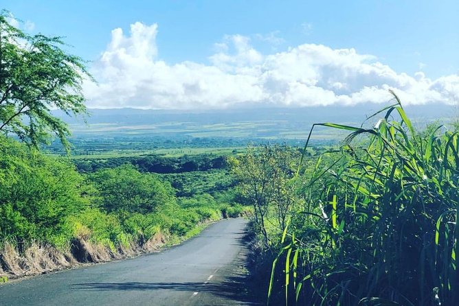 North Shore Tour Guide Hike - Tour Overview