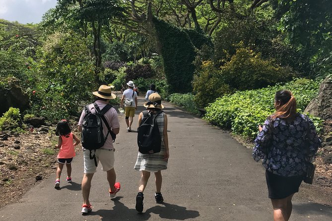 North Shore / Waimea, Falls Day & Swim With Turtles
