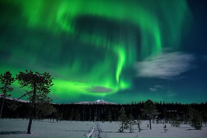 Northern Lights Hunting Sonkamuotka