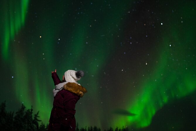 Northern Lights Reindeer Sledge Ride