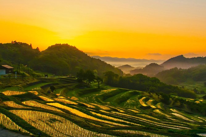 Noto Full Day Driving Tour (Private Car)